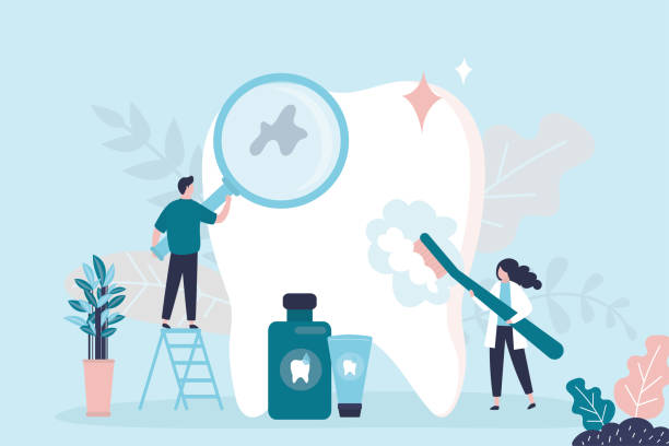  Paynesville, MN Dental Services Pros